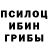 Галлюциногенные грибы Psilocybe ComdoPlay